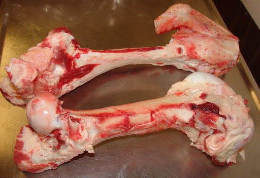 xương ống bò úc