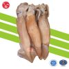 mực ống size 2-3 con