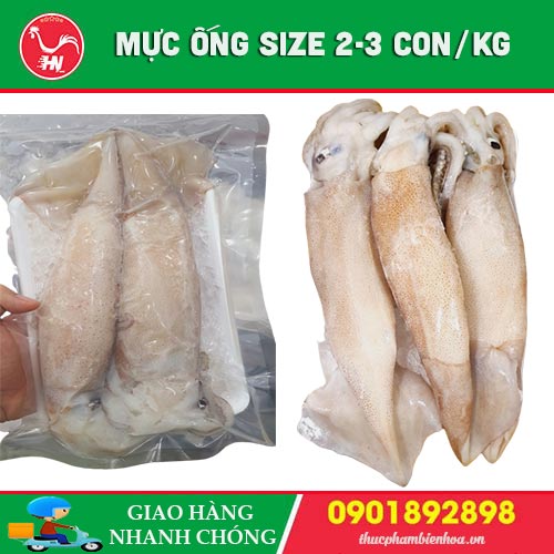 mực ống size lớn